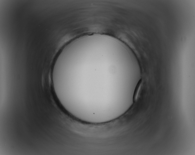 X0000086790011200705041557