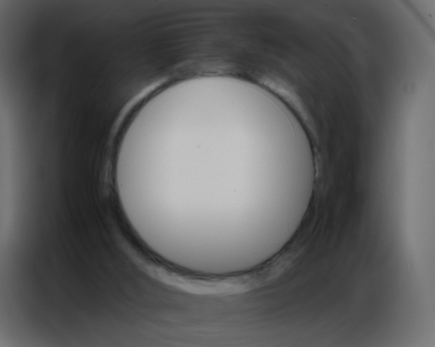 X0000086790012200705041557