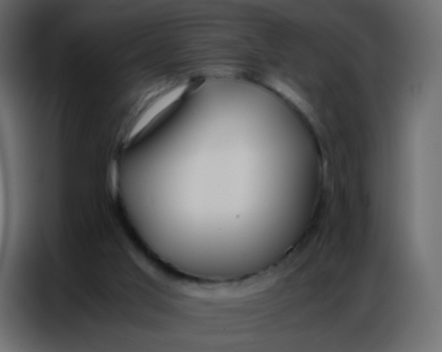 X0000086790013200705041557