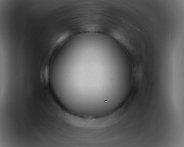 X0000086790014200705041557