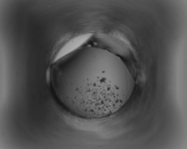 X0000086790019200705041557