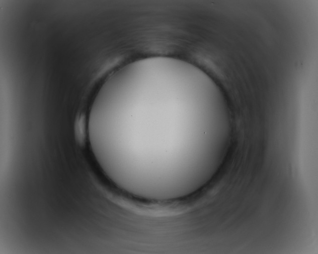 X0000086790020200705041557