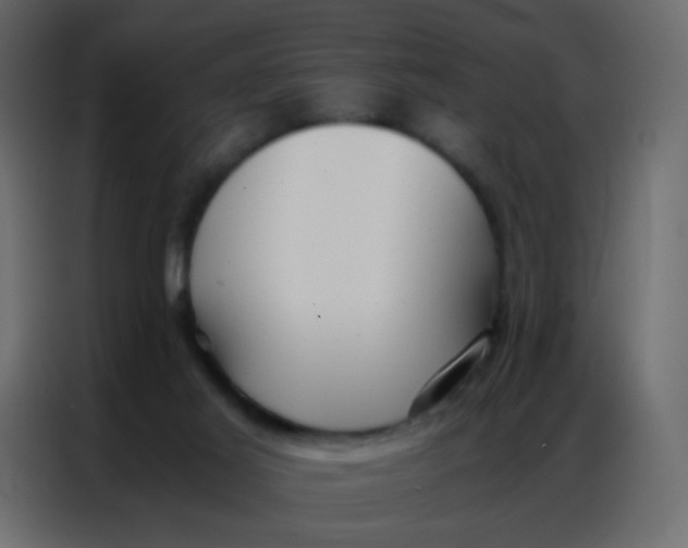 X0000086790021200705041557