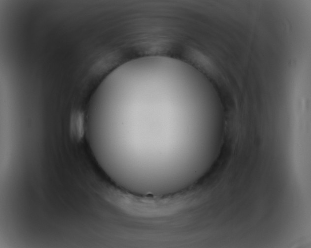 X0000086790022200705041557