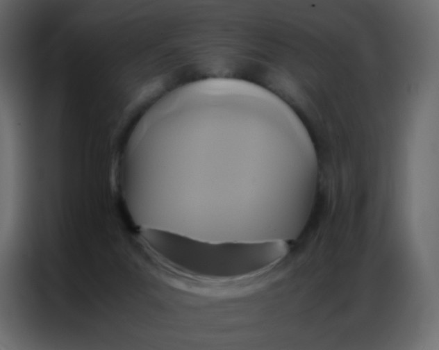 X0000086790023200705041557