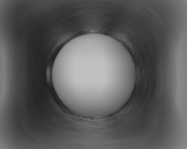 X0000086790024200705041557