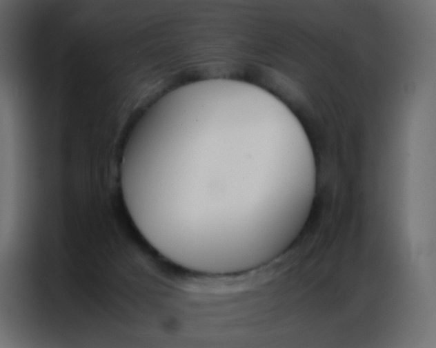 X0000086790025200705041557