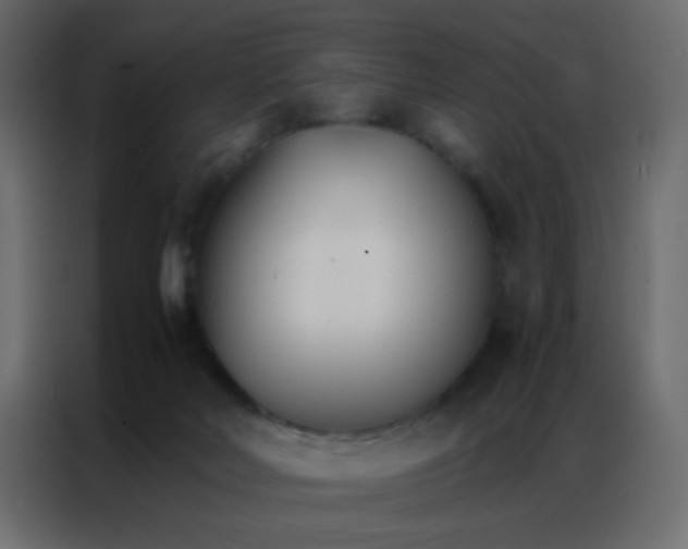 X0000086790026200705041557