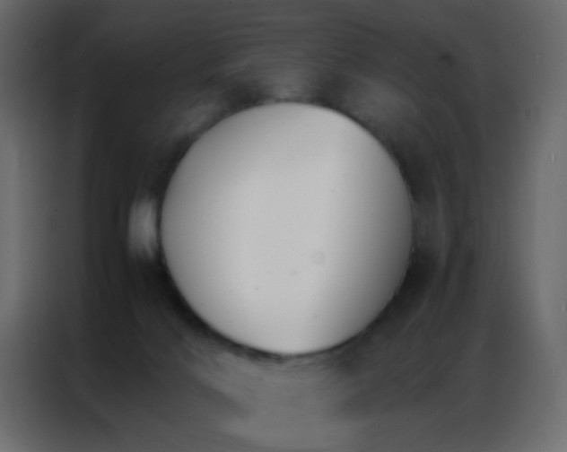 X0000086790028200705041557