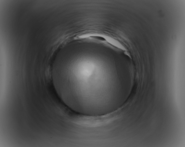 X0000086790029200705041557