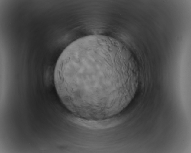 X0000086790030200705041557