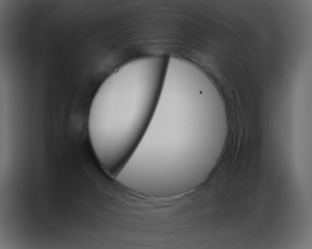 X0000086790031200705041557