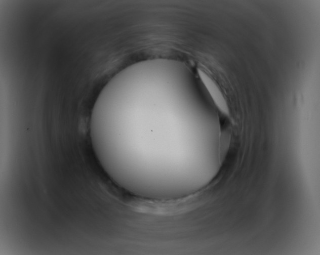 X0000086790033200705041557