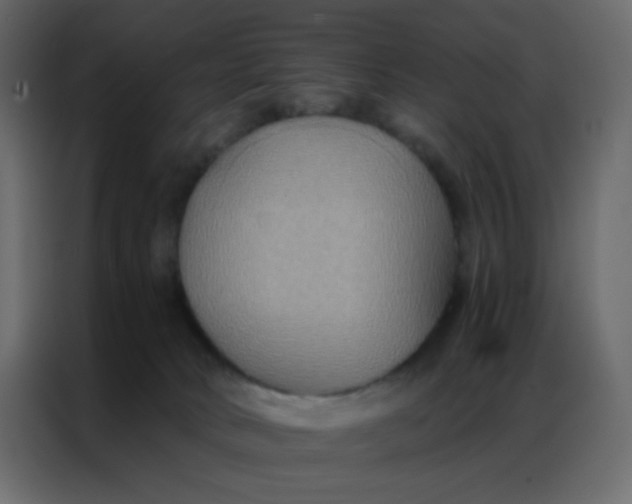 X0000086790034200705041557