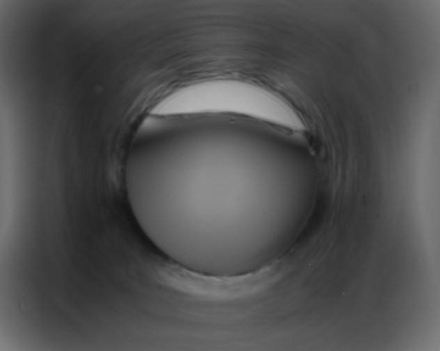 X0000086790035200705041557