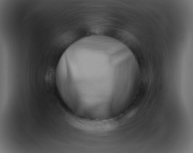 X0000086790036200705041557