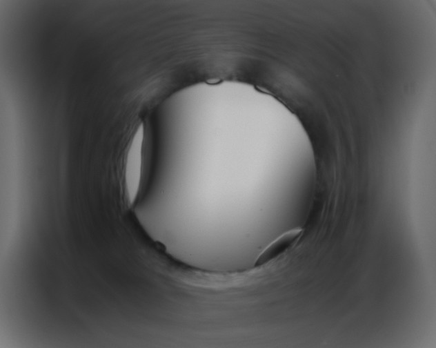 X0000086790037200705041557