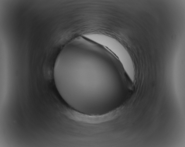 X0000086790039200705041557