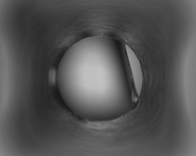 X0000086790041200705041557