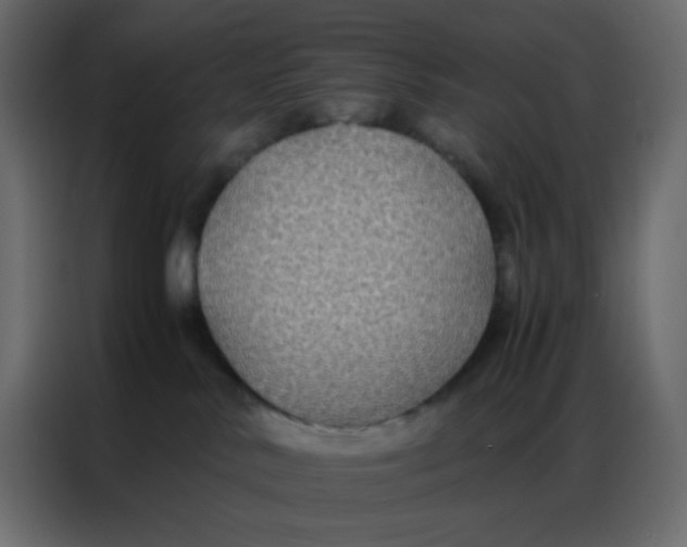 X0000086790042200705041557