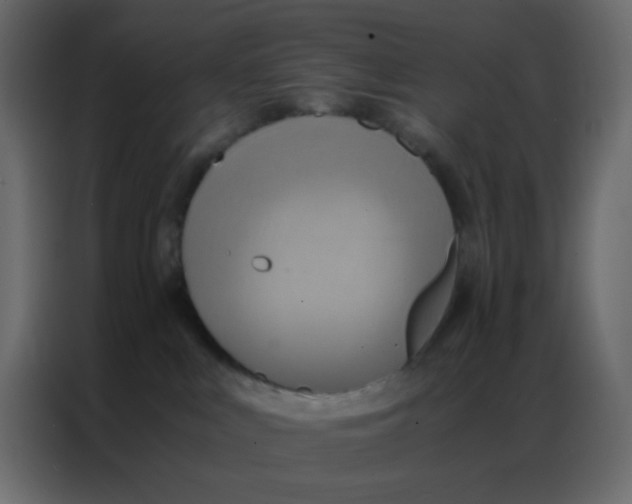 X0000086790043200705041557