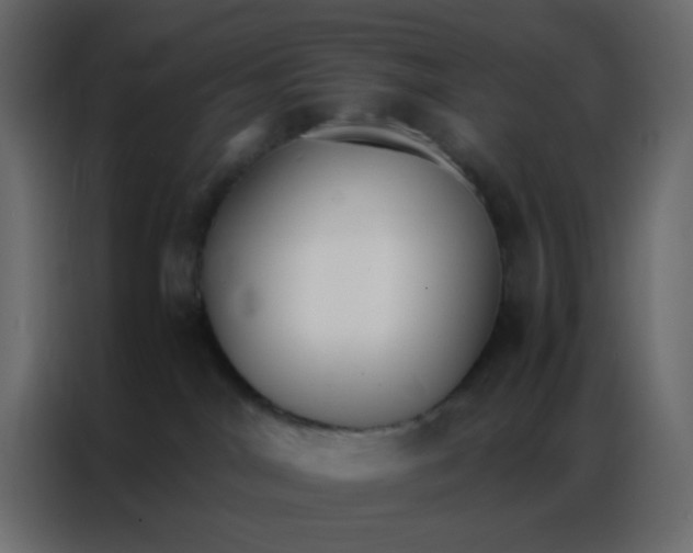 X0000086790044200705041557