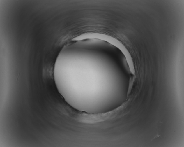 X0000086790045200705041557