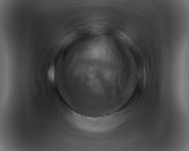 X0000086790046200705041557