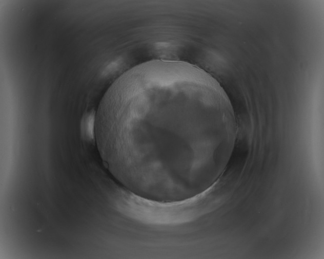 X0000086790047200705041557