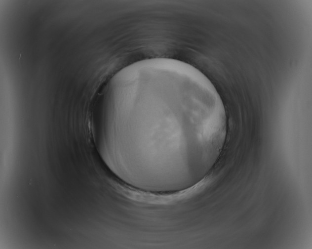 X0000086790048200705041557