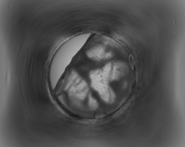 X0000086790049200705041556