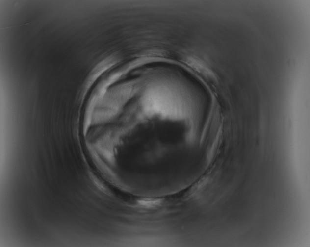 X0000086790051200705041556