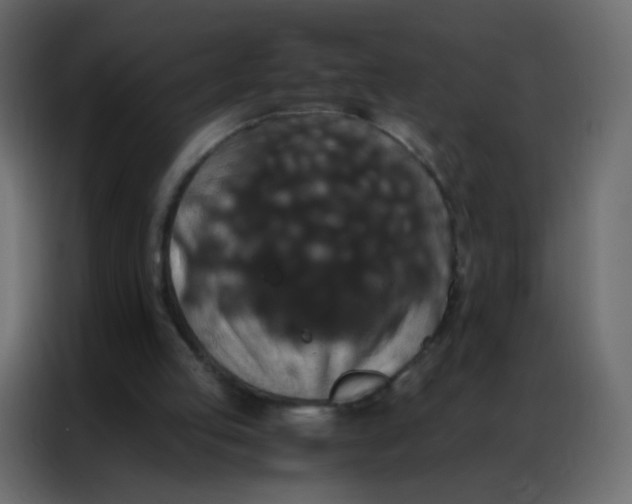 X0000086790053200705041556