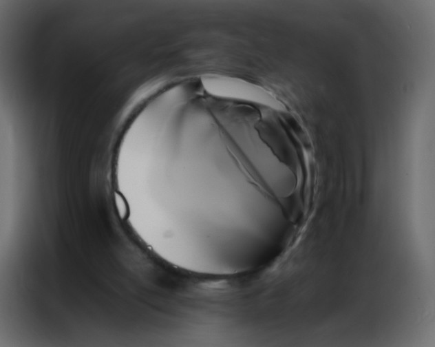 X0000086790054200705041556