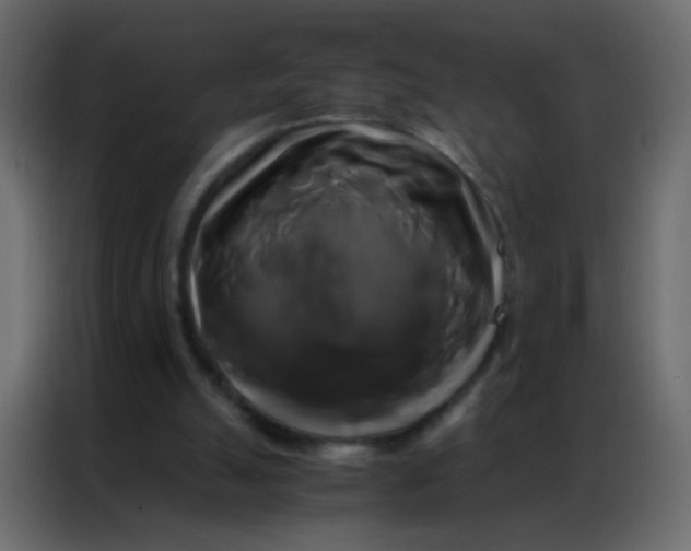 X0000086790055200705041556