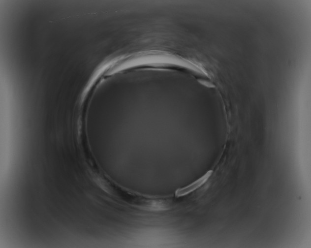 X0000086790056200705041556