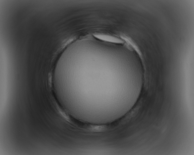 X0000086790057200705041556