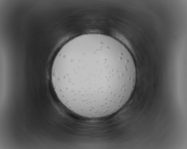 X0000086790059200705041556