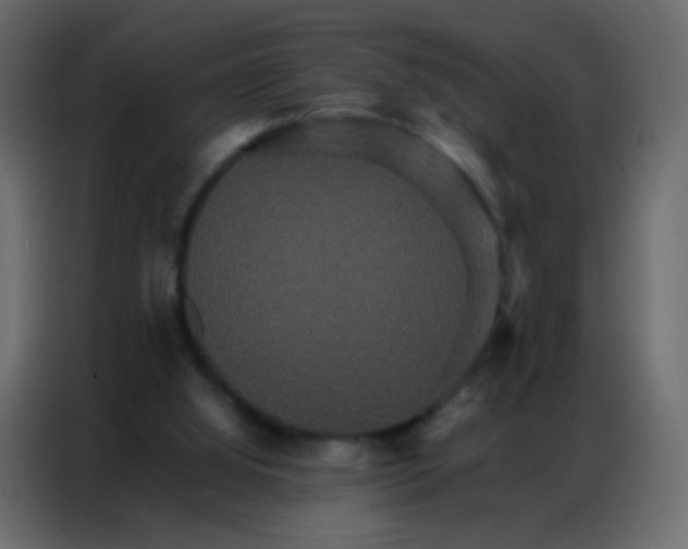 X0000086790060200705041556