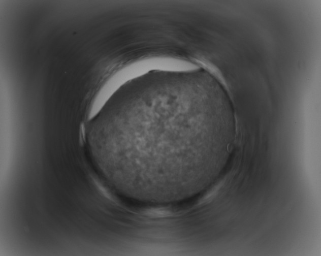 X0000086790061200705041556