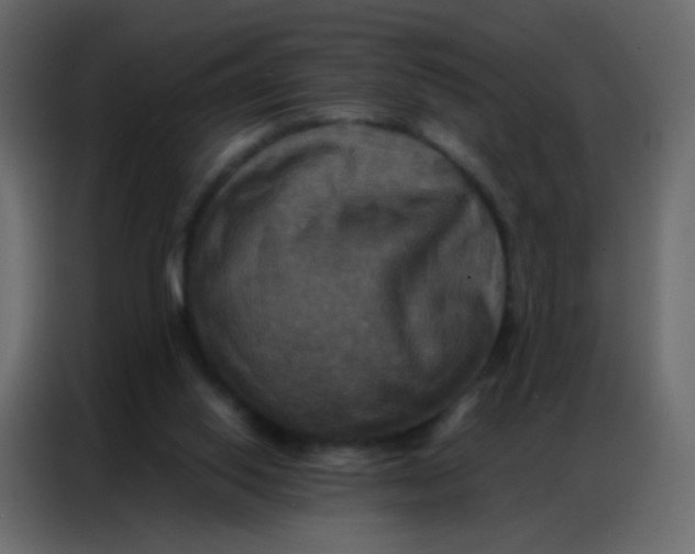 X0000086790062200705041556