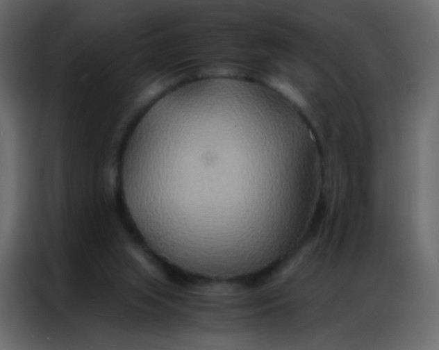 X0000086790063200705041556