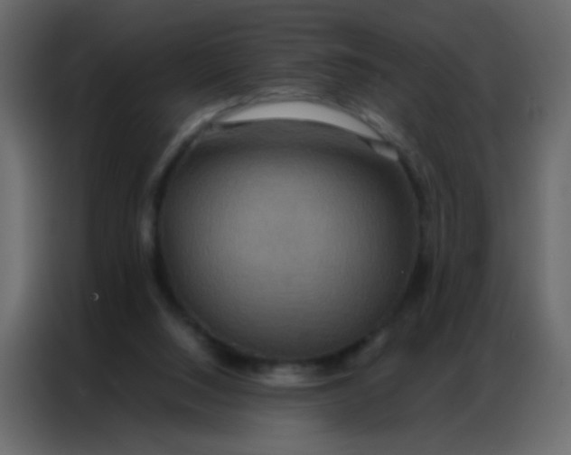 X0000086790064200705041556