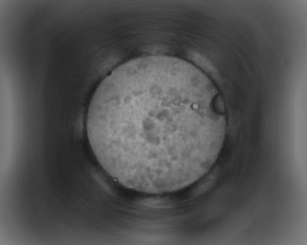 X0000086790065200705041556