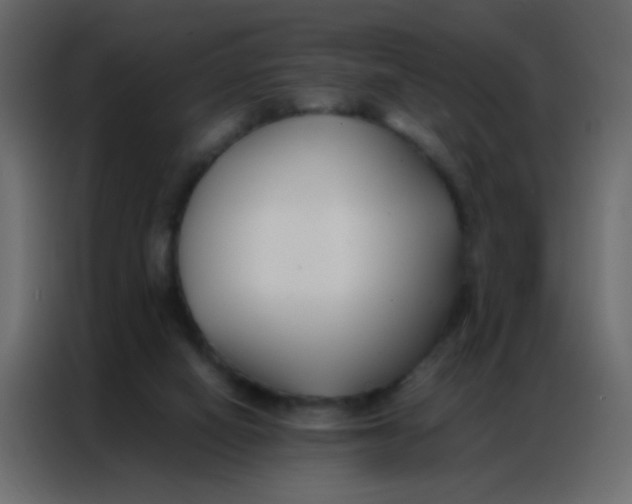 X0000086790066200705041556