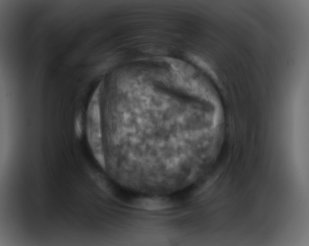 X0000086790069200705041556