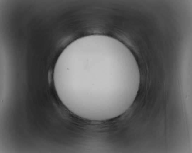 X0000086790070200705041557