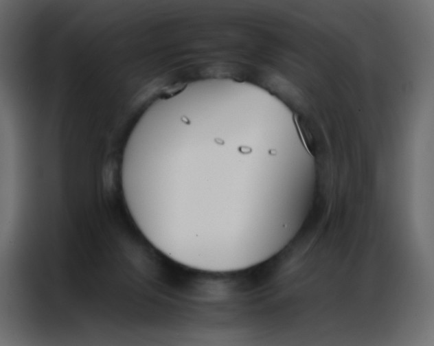 X0000086790071200705041557