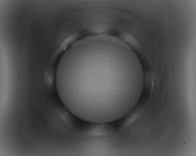 X0000086790072200705041557