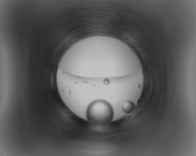 X0000086790074200705041557